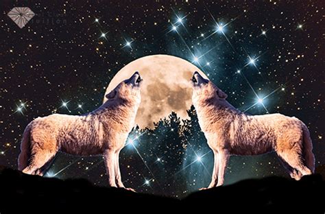 Harnessing the Wolf Moon's Energy for Manifestation
